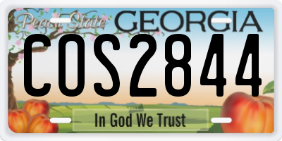 GA license plate COS2844