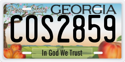 GA license plate COS2859