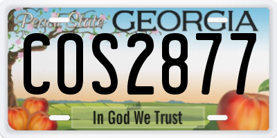 GA license plate COS2877