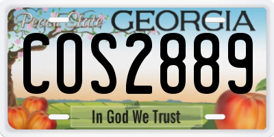 GA license plate COS2889