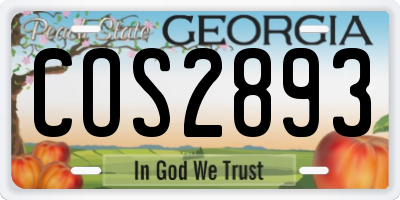 GA license plate COS2893