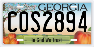 GA license plate COS2894