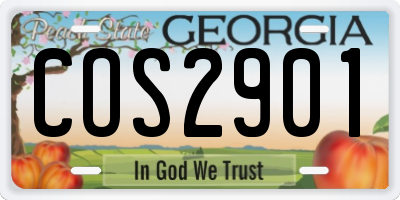 GA license plate COS2901