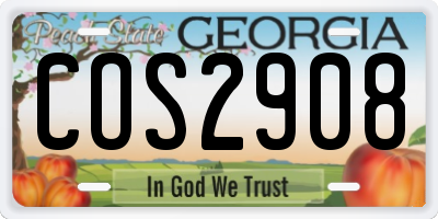 GA license plate COS2908