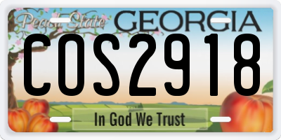 GA license plate COS2918