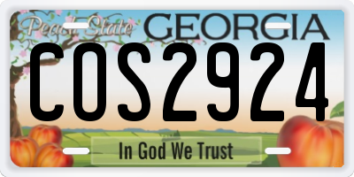 GA license plate COS2924
