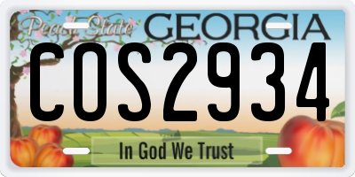 GA license plate COS2934