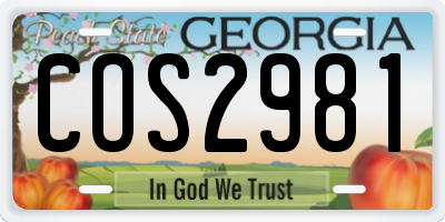 GA license plate COS2981