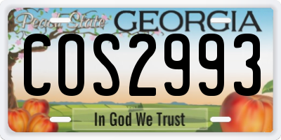 GA license plate COS2993
