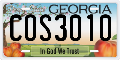 GA license plate COS3010