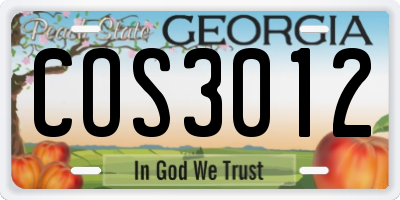 GA license plate COS3012