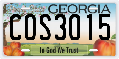GA license plate COS3015
