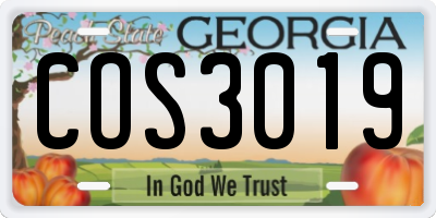GA license plate COS3019
