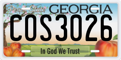 GA license plate COS3026