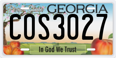 GA license plate COS3027