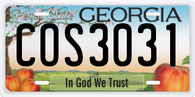 GA license plate COS3031
