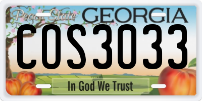 GA license plate COS3033