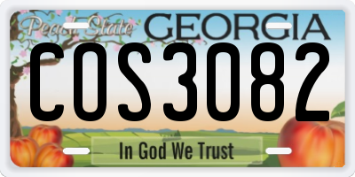 GA license plate COS3082