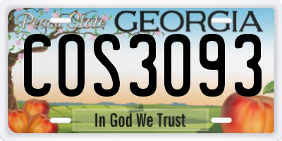 GA license plate COS3093