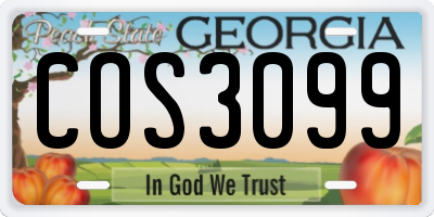 GA license plate COS3099