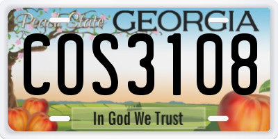 GA license plate COS3108