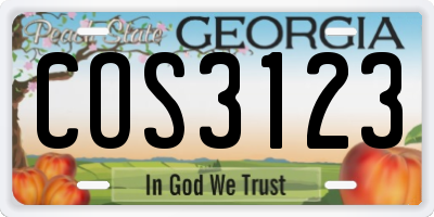 GA license plate COS3123
