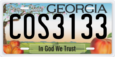 GA license plate COS3133