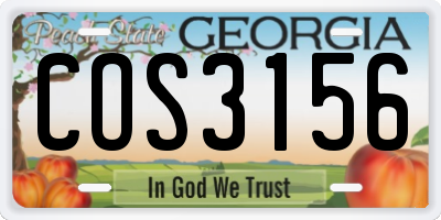 GA license plate COS3156