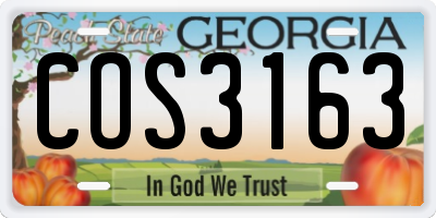 GA license plate COS3163