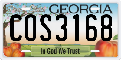 GA license plate COS3168
