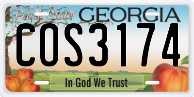 GA license plate COS3174