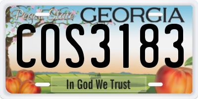 GA license plate COS3183