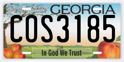 GA license plate COS3185
