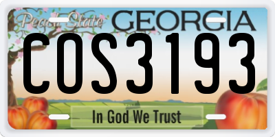 GA license plate COS3193