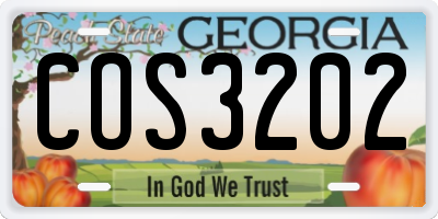 GA license plate COS3202