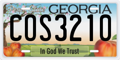 GA license plate COS3210