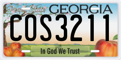 GA license plate COS3211