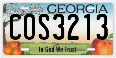 GA license plate COS3213