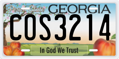GA license plate COS3214