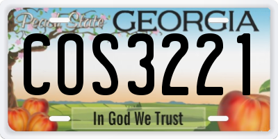 GA license plate COS3221