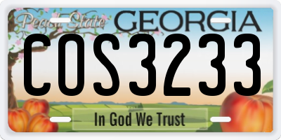 GA license plate COS3233
