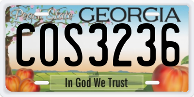 GA license plate COS3236