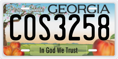 GA license plate COS3258