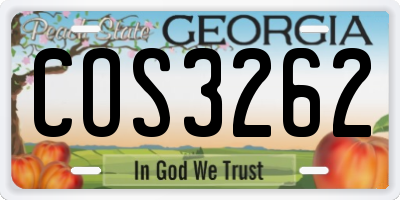 GA license plate COS3262