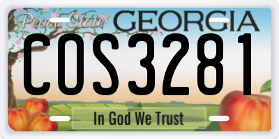 GA license plate COS3281
