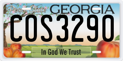 GA license plate COS3290