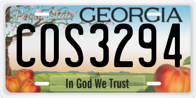 GA license plate COS3294