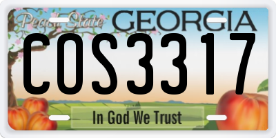 GA license plate COS3317