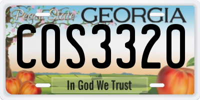 GA license plate COS3320