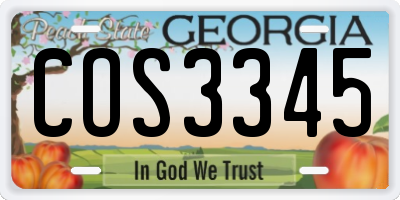 GA license plate COS3345